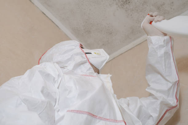 Certified Mold Removal in University At Buffalo, NY