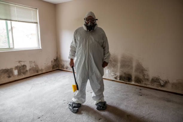 Best Crawl Space Mold Removal  in University At Buffalo, NY